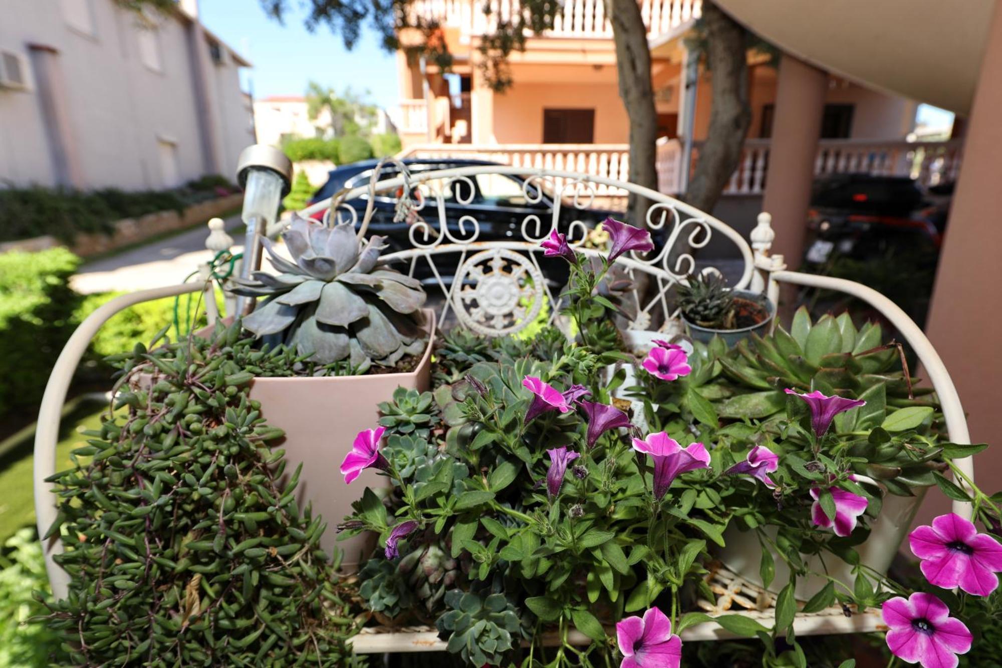 Villa Dalmatino Пакоштане Екстер'єр фото